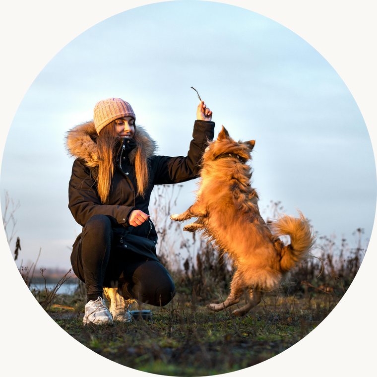 Happy pet owner playing with her emotional support dog outdoors at sunset